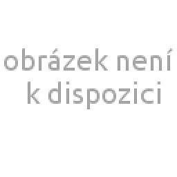 Obrázek pro produkt Decor Classic - 10 l