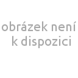 Obrázek pro produkt Mikroakryldecor - 15 l